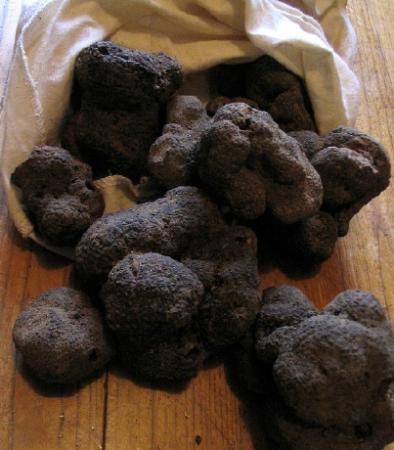 Restaurant des Gourmets