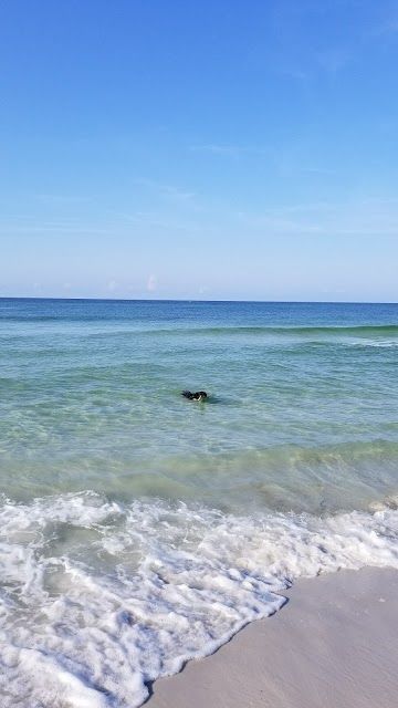 Gulf Place Town Center