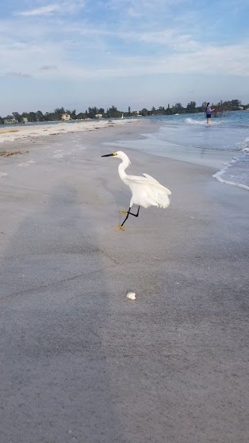 South Lido Key Beach Park on the Gulf