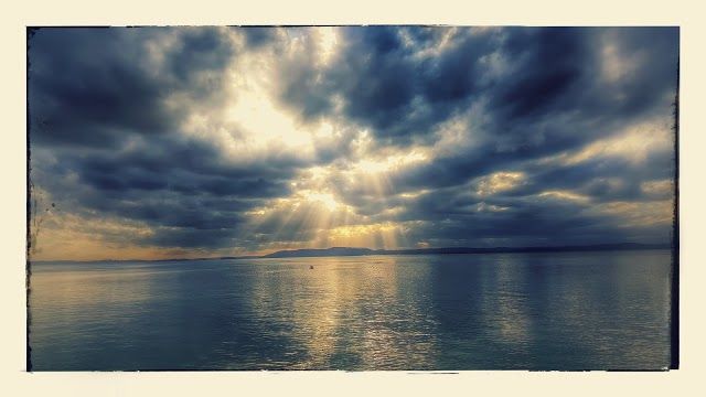 Fly Point Aquatic Reserve