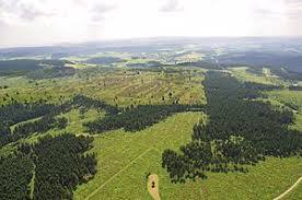 Neuer Hagen