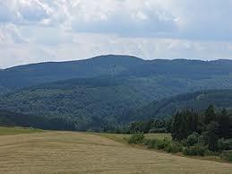 Heidekopf