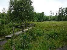 Ohligser Heide