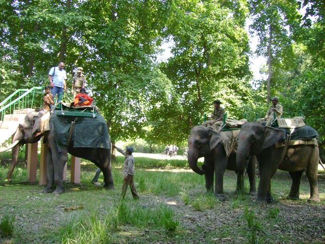 Raja Ji Tiger Reserve