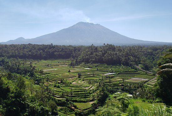 Agung