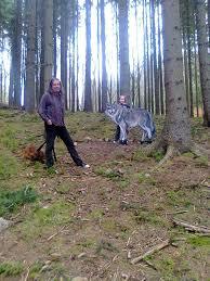 Wildpark Hochbrücke