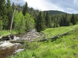 North Fork Big Thompson River