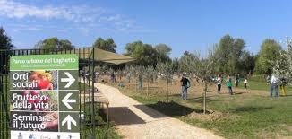 Parco del Laghetto