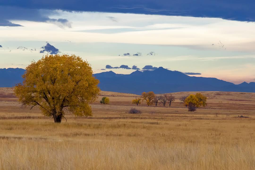 Rocky Mountain Arsenal National Wildlife Refuge