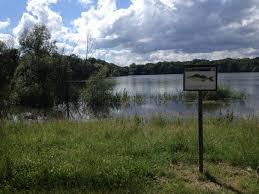 Auensee