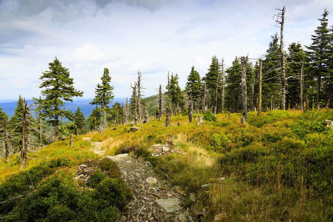 Karkonosze National Park