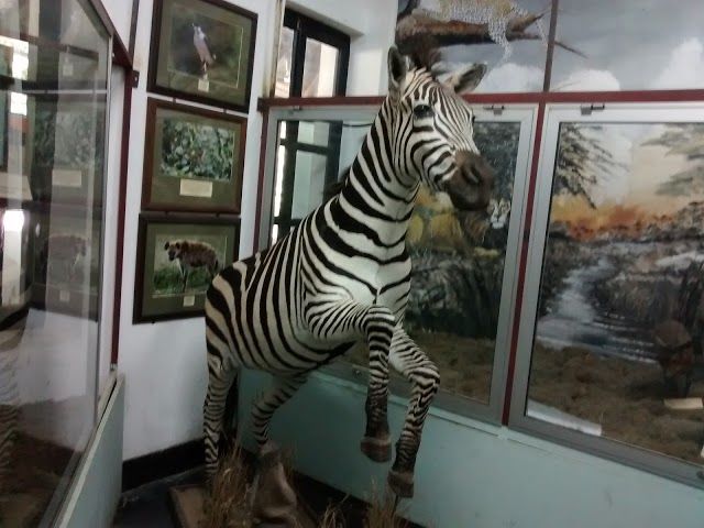 Arusha National Natural History Museum