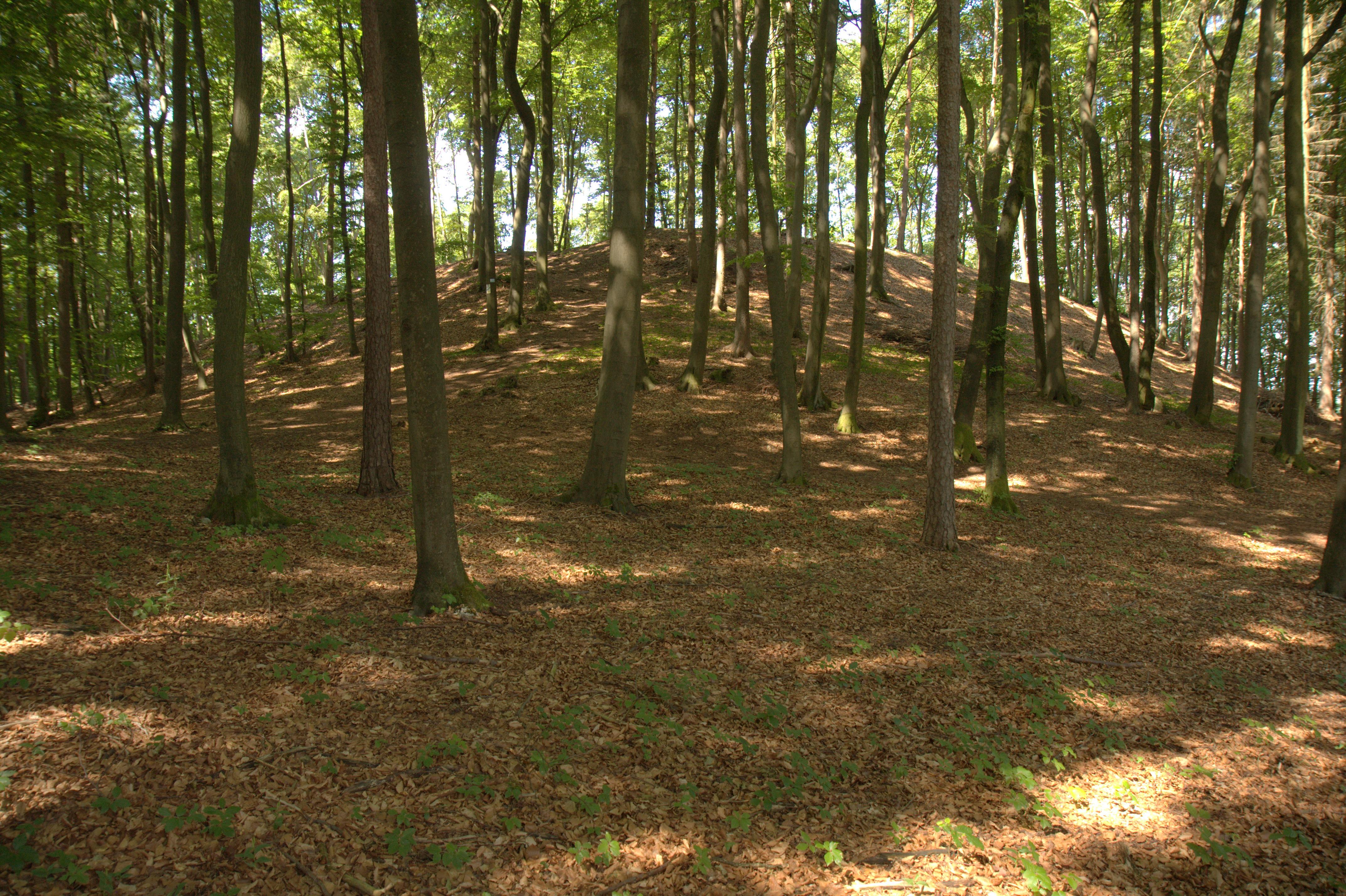 Burgstall Burgstein