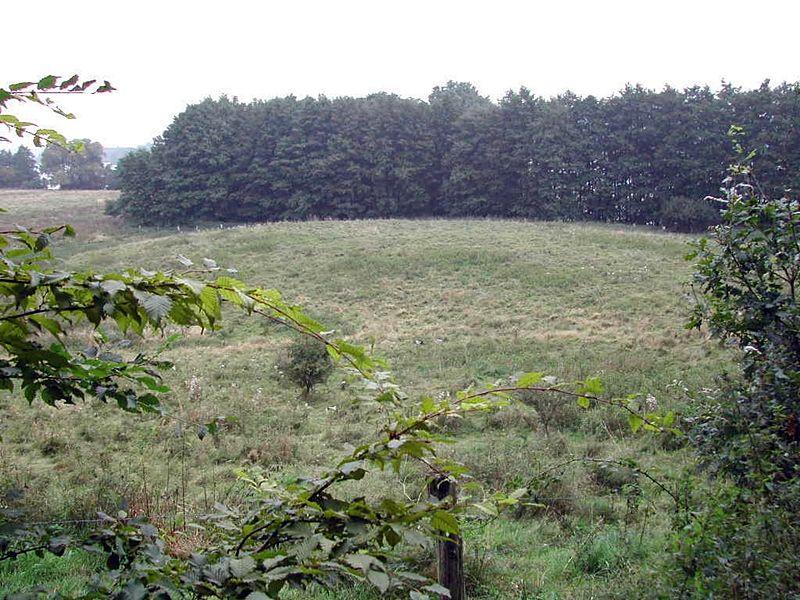 Burgwall Kittlitz