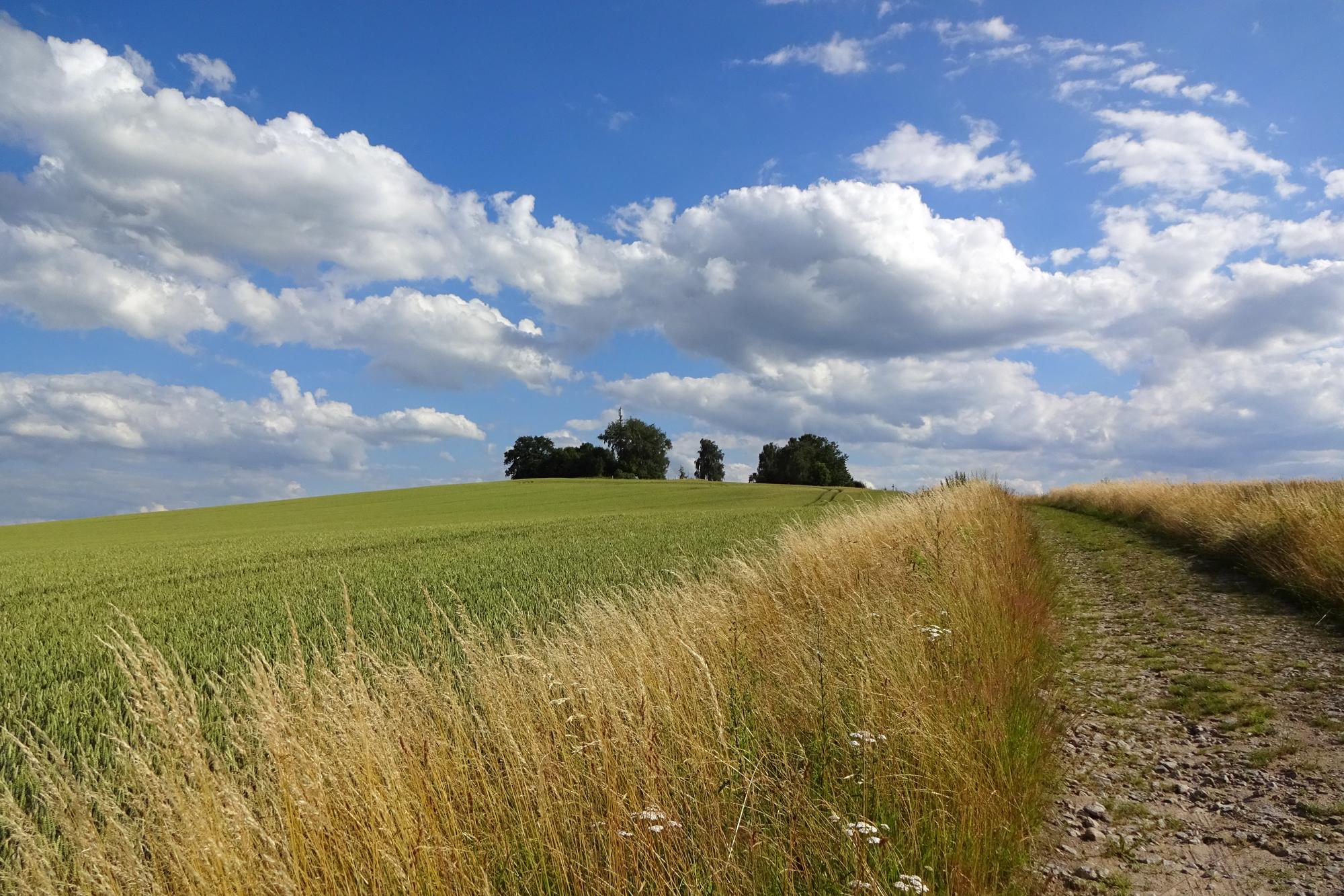Kapellenberg