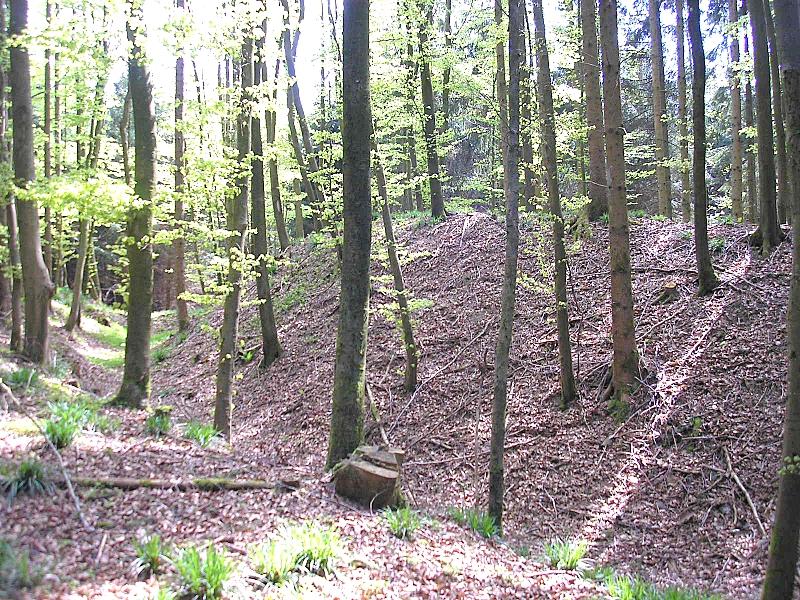 Burgstall Hattenberg