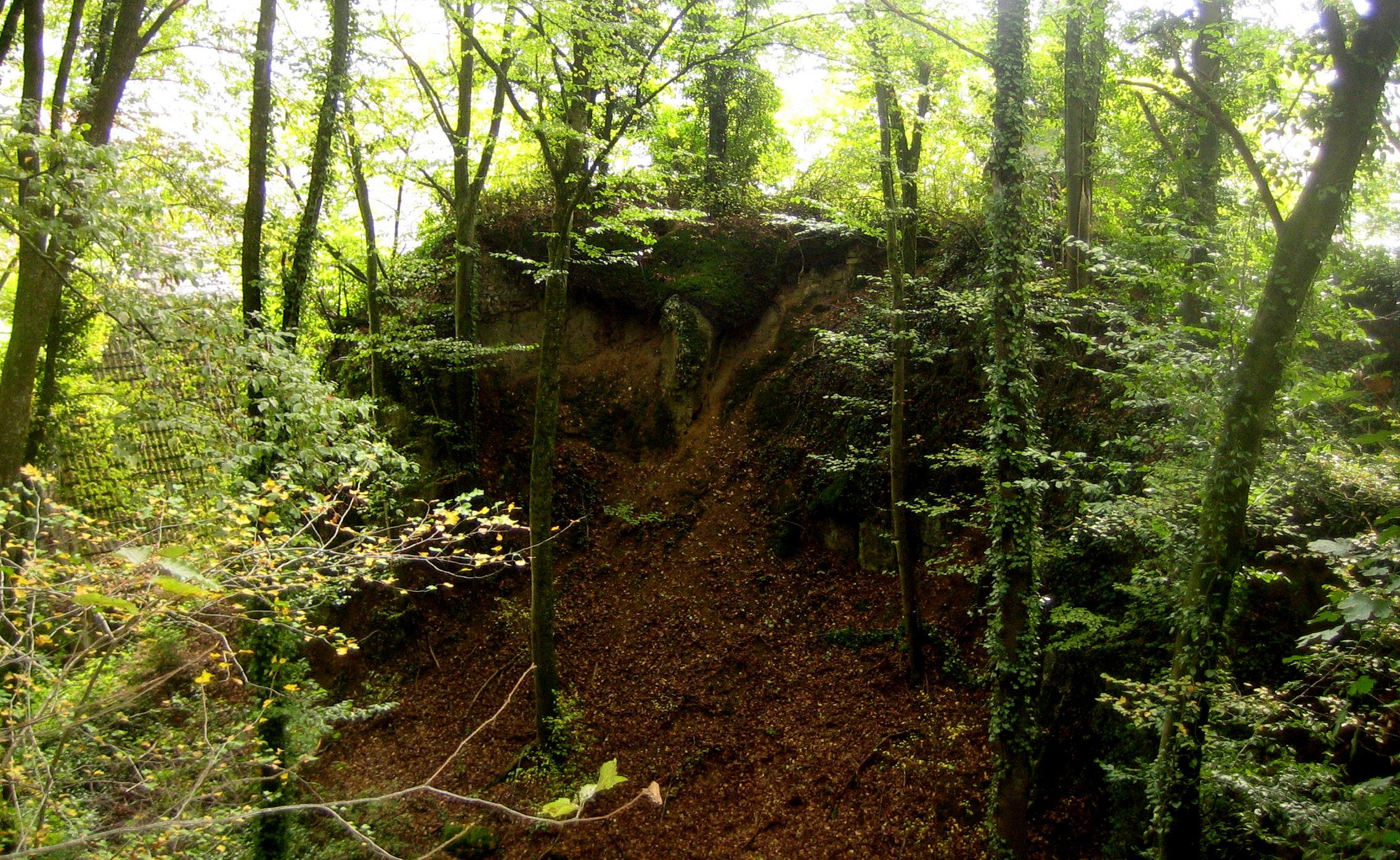 Burg Hammerstein