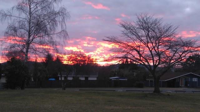 Lucky Lizard Tavern Bar & Grill