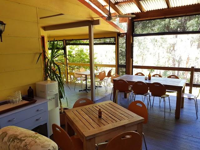 Genesis in the Hills