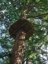 Parc d'accrobranche Sequoia Vertigo