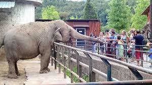 Zoo de Pistoia