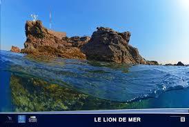El León de mar