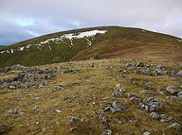 Great Dodd