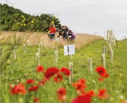 Newquay Community Orchard