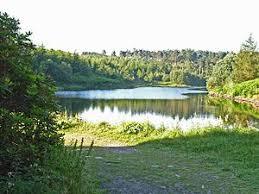 Green Hows Tarn