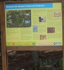 Sendero Fuente del Acebuche