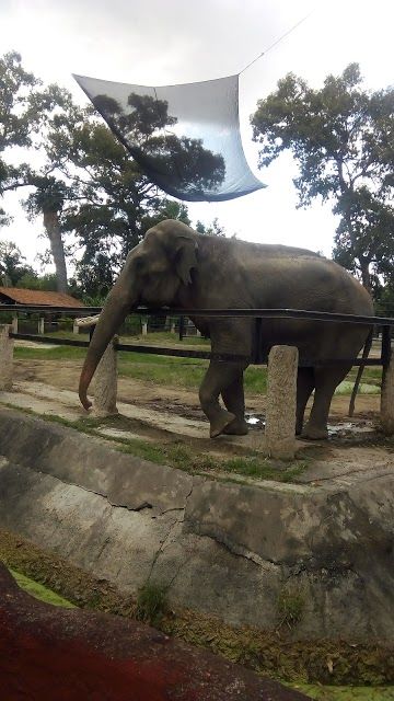 Parque Zoológico Benito Juárez