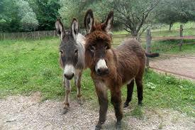 Maison Départementale de la Nature