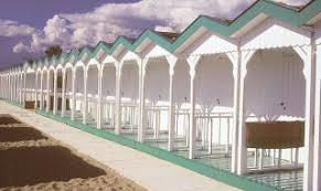 Bagno Pennone