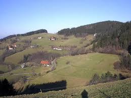 Geiersnest