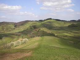 Badberg