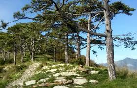 Pieve Alta