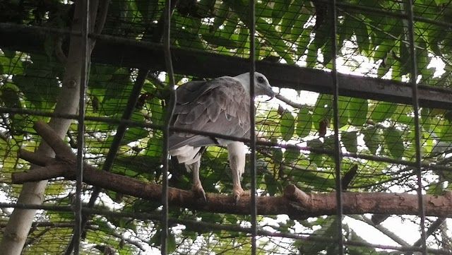 Crocolandia Vahşi Yaşam Parkı
