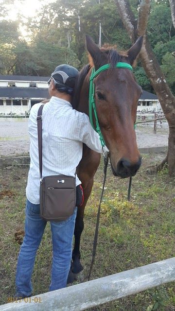 El Kabayo Riding Stable