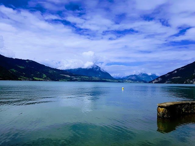 Naturschutzgebiet Weissenau