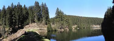 Unterer Grumbacher Teich
