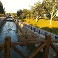 Aşık Veysel Rekreasyon Alanı