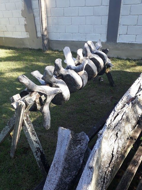 Museu Arqueológico Sambaqui da Tarioba