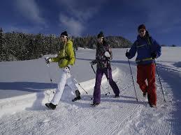 Premium Winterwanderweg Hemmersuppenalm