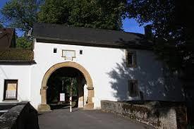 Burg Birkenfeld