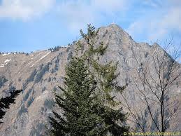 mont Orchez