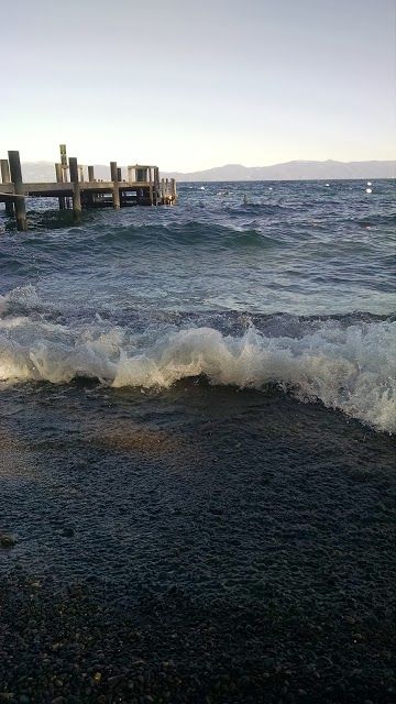 Tahoe Park Beach Association