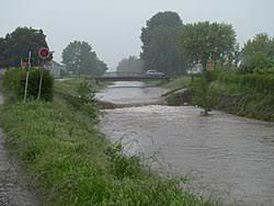 Bühlot