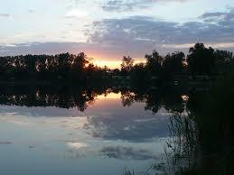 Hanfsee