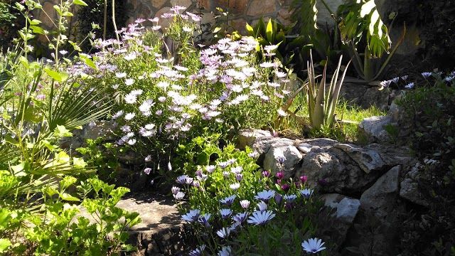 Golf El Vendrell Pitch & Putt