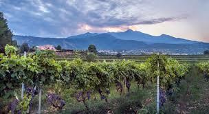 Murgo Tenuta San Michele